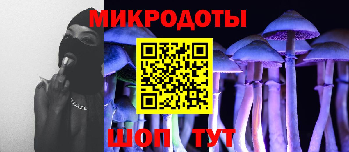 Псилоцибиновые грибы Cubensis  Вход с VPN  Комсомольск-на-Амуре 